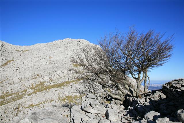 Ascensi�n final a Lekanda